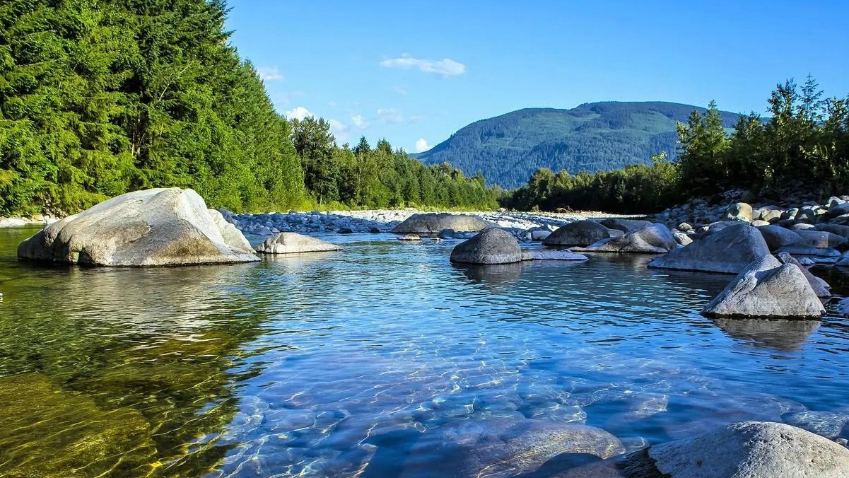 《检验检测领域综合治理行动方案》发布