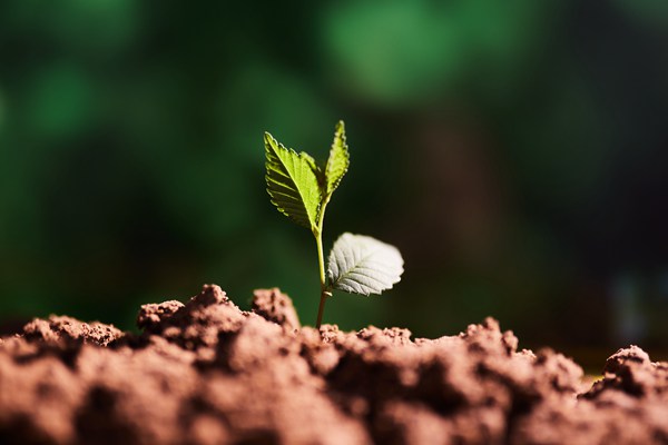 精准溯源！南京积极探索农业面源污染防治新模式