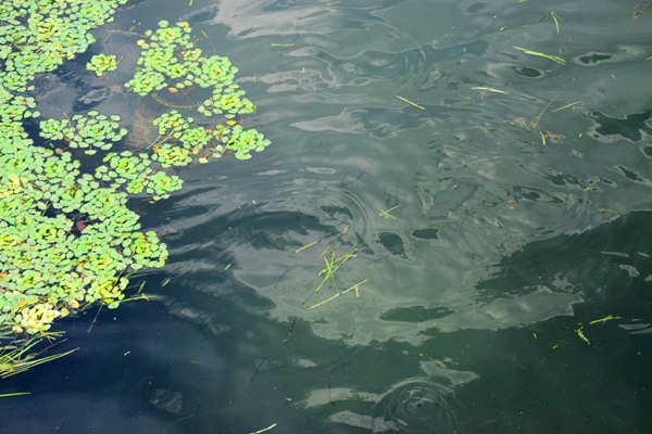 全面实行排污许可“一证式”管理