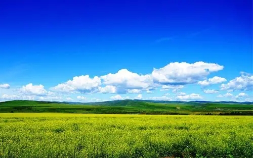 深港强化生态环境领域规则衔接与机制对接，携手共赴美丽中国先行区之约 